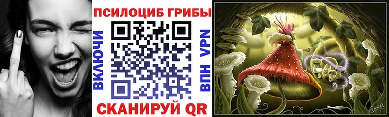 Галлюциногенные грибы мицелий  закладки  Анадырь 