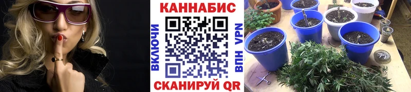 МАРИХУАНА Amnesia  как найти   Анадырь 